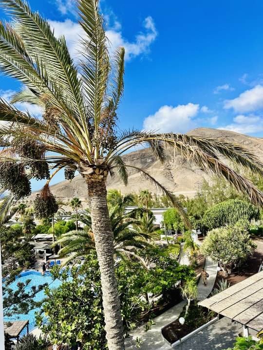 "Gartenanlage" allsun App.Hotel Esquinzo Beach (Esquinzo