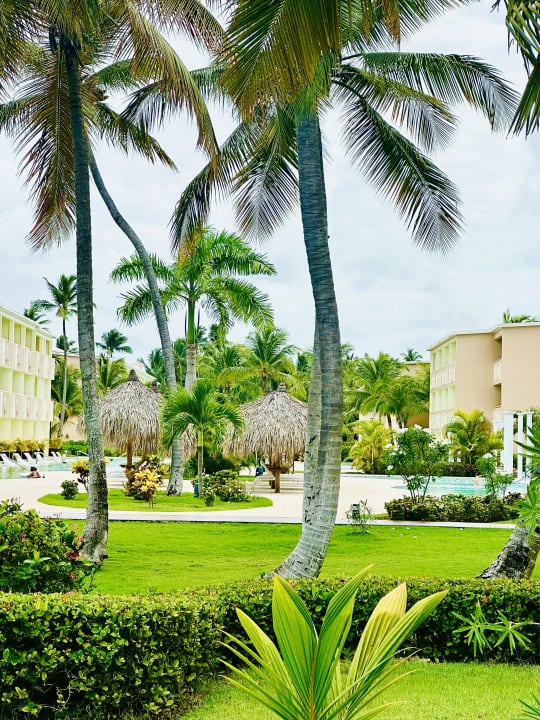 Gartenanlage TRS Turquesa Hotel - Adults only