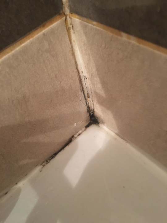 Zimmer Apartment in Saint Thomas Holiday Village