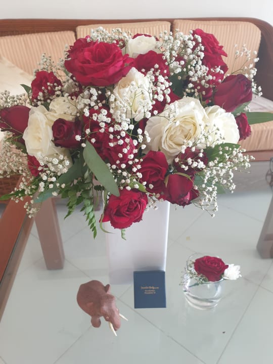 Zimmer Hotel Lanka Princess Ayurveda