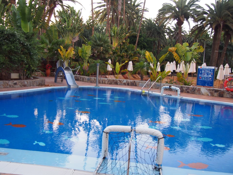 Pool Seaside Hotel Palm Beach