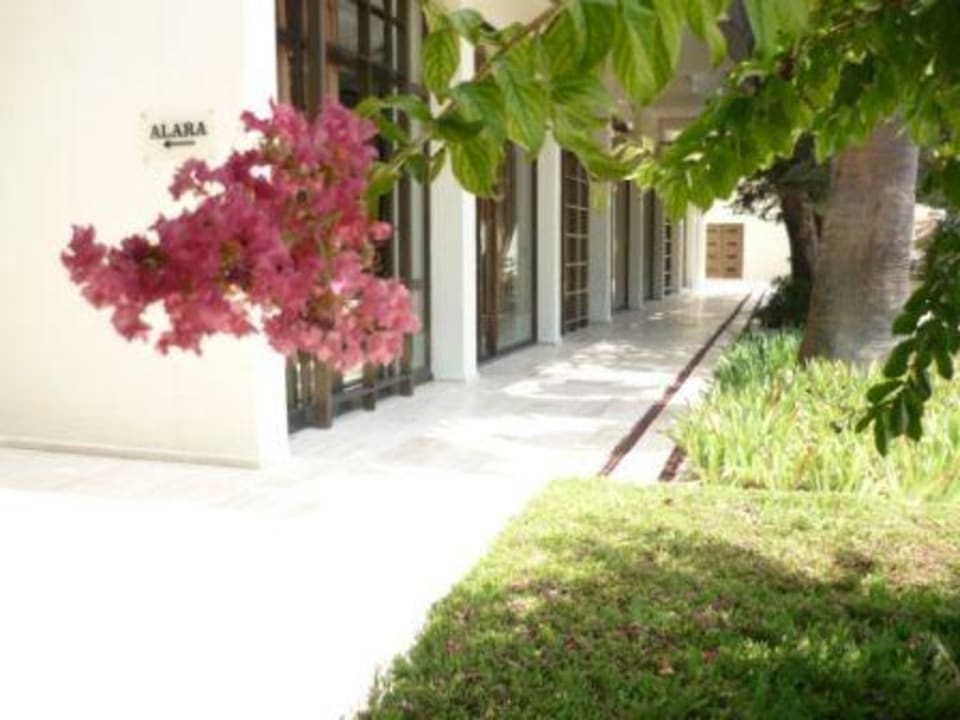 Aussenbereich Side Star Elegance