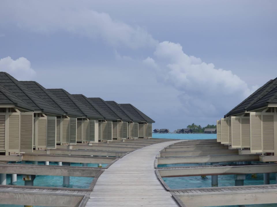 Wasserbungalows Summer Island Maldives