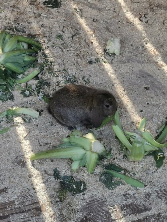 Sport & Freizeit Lerchs Landhotel