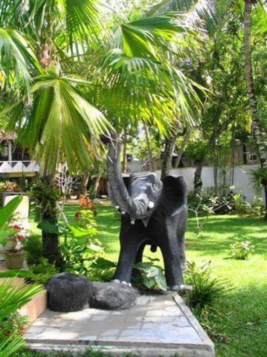 Elefantendusche Pahalage Guesthouse