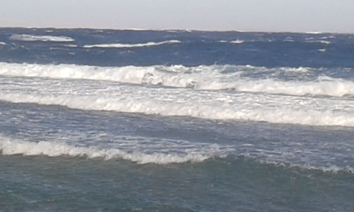 Starker Wind, tolle Wellen. Parrotel Beach Resort