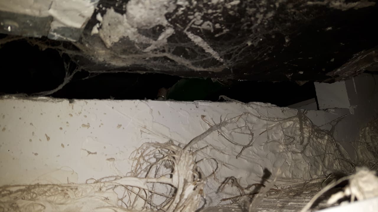 Zimmer Zafiro Mallorca