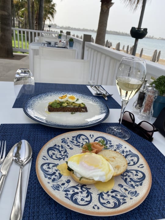 Gastro Acanthus Cennet Barut Collection