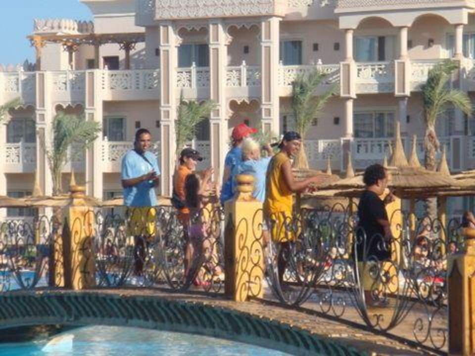 Animation team Pickalbatros Palace Resort