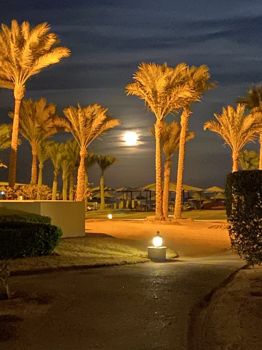 Strand Pickalbatros Sands Hotel - Port Ghalib