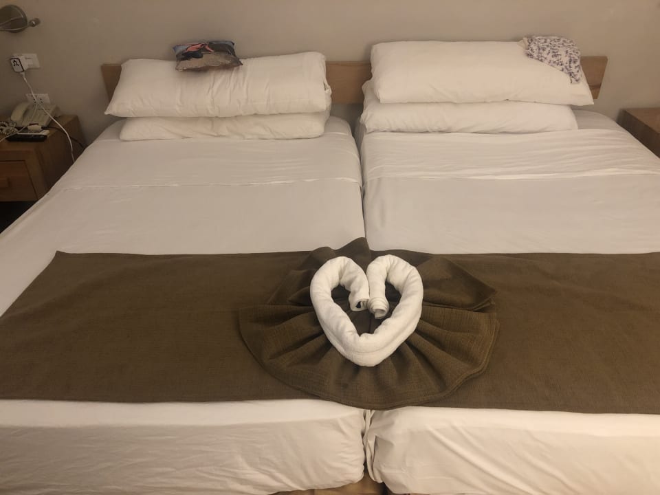 Zimmer Starfish Cuatro Palmas