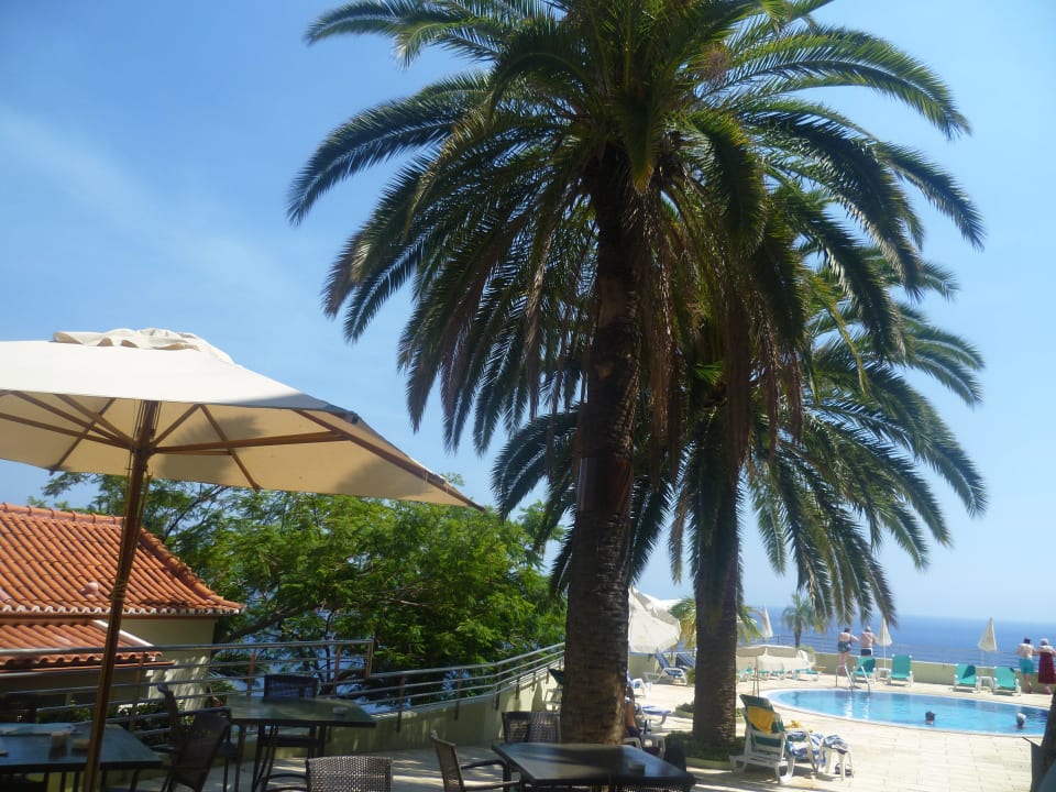 Pool-Landschaft Hotel Madeira Regency Cliff