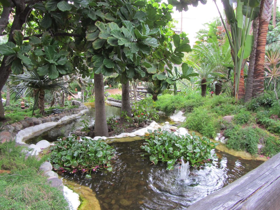 Teil des Gartens Hotel Parque Tropical