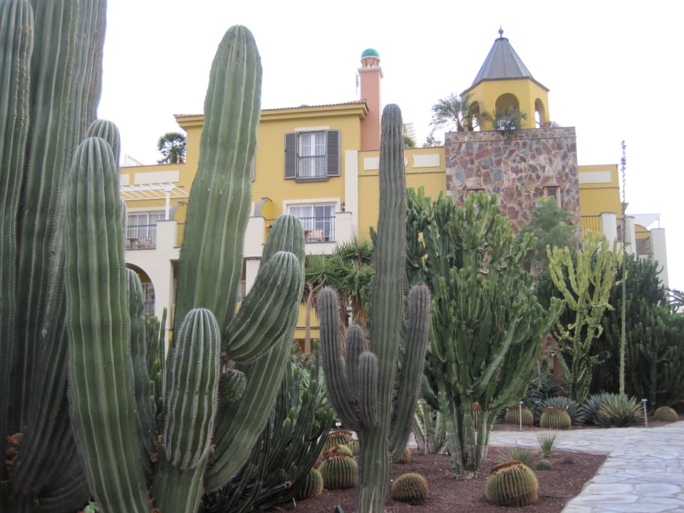 Garten Hotel Cordial Mogán Playa