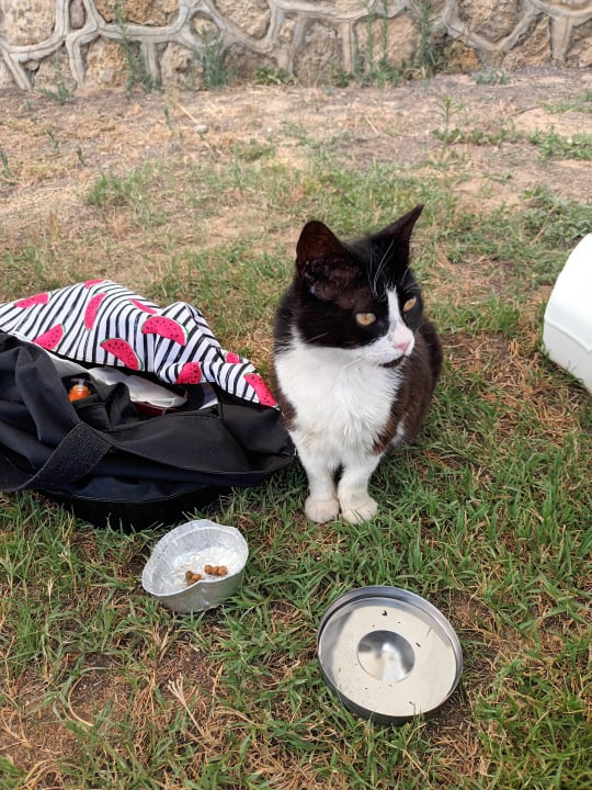 Sonstiges Oz Hotels Incekum Beach