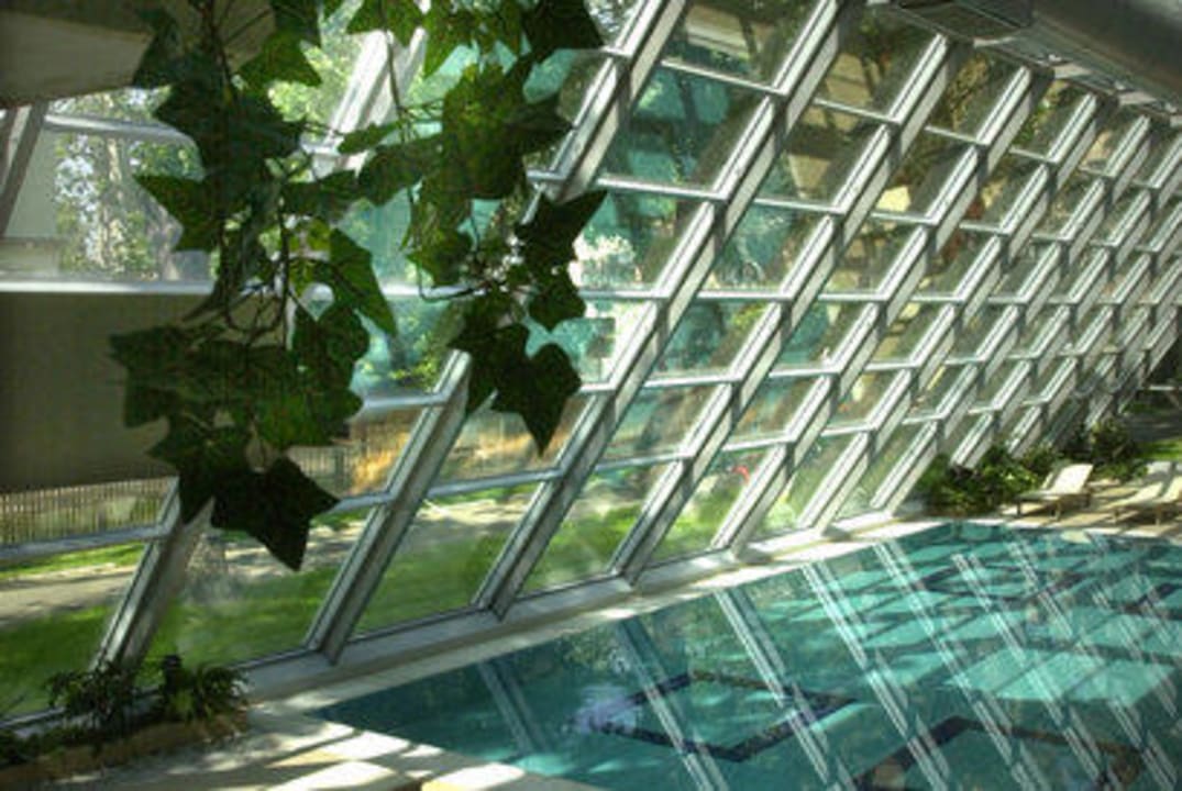 Pool Park Hotel Pelikan