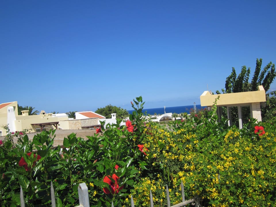 Blick von der Straße auf das Hotel Annabelle Beach Resort