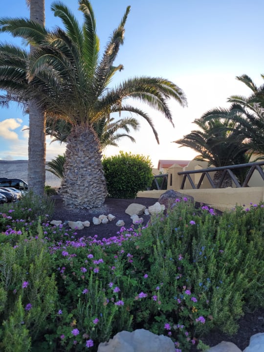 Gartenanlage H10 Playa Esmeralda - Adults only