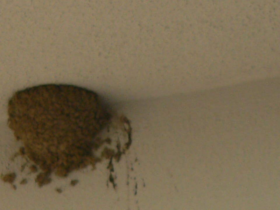 5 gwiazdek Justiniano Deluxe Resort