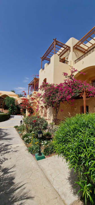 Gartenanlage Steigenberger Coraya Beach - Adults only