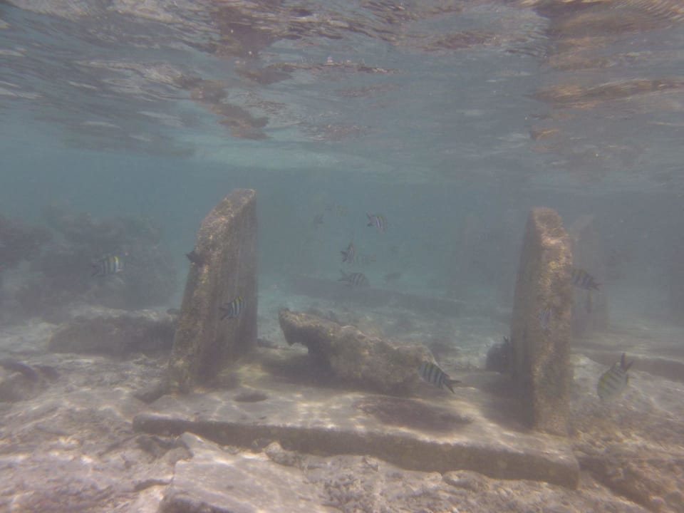 Hausriff Vilamendhoo Island Resort & Spa