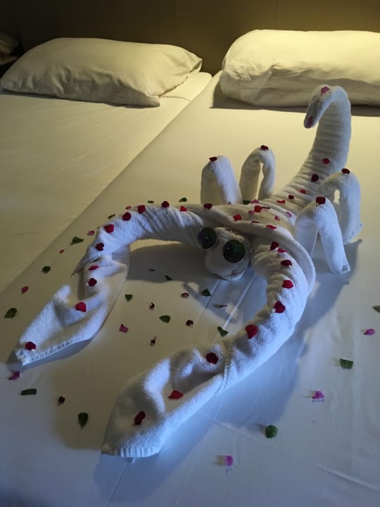 Zimmer Jaz Makadi Oasis Resort