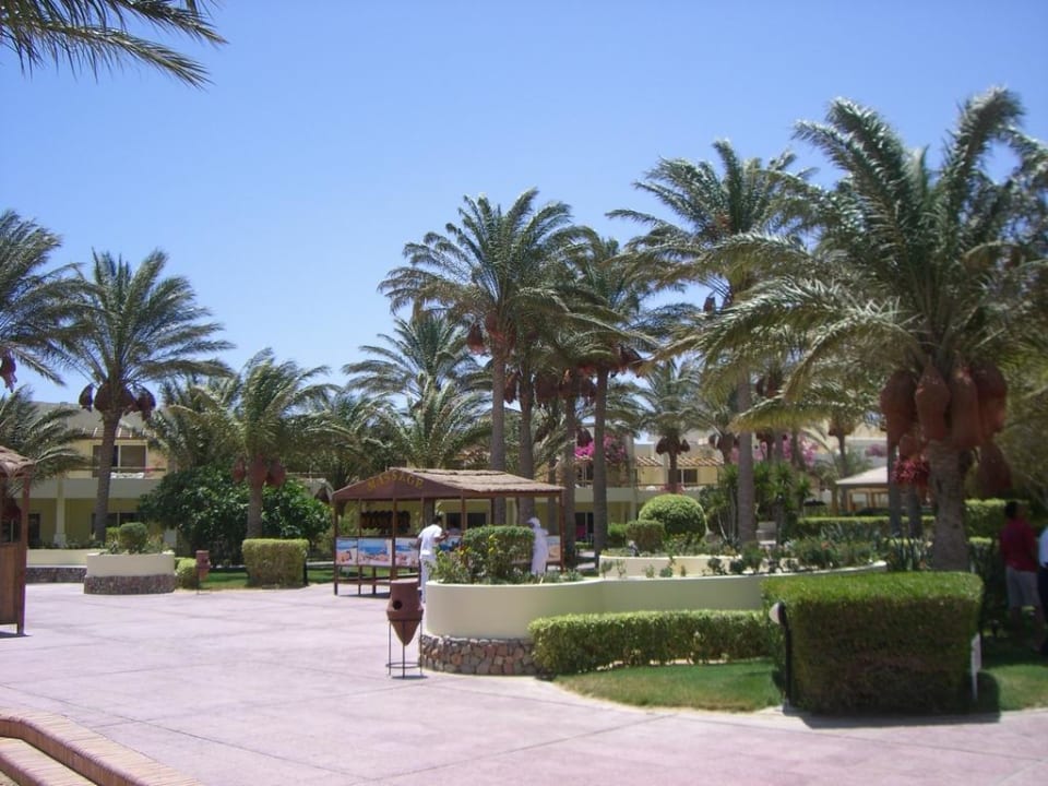 Blick in den Hotelgarten Palm Beach Resort