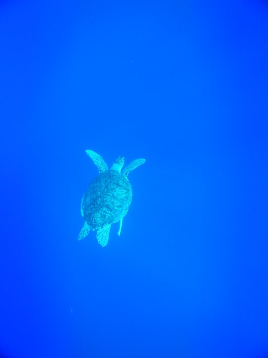 Strand Bliss Nada Beach Resort