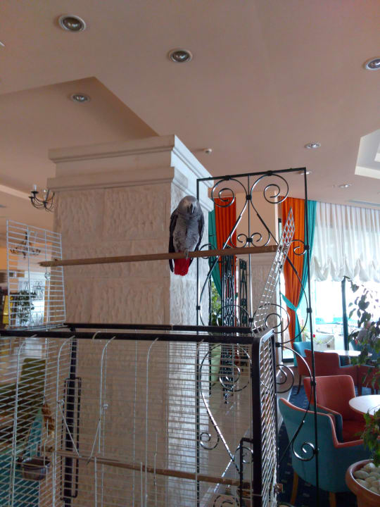 Lobby Aska Hotel Just in Beach