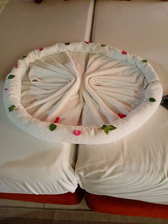 Zimmer Jaz Makadi Oasis Resort