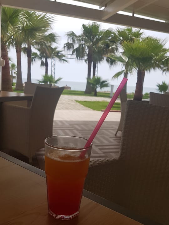 Gartenanlage Sultan of Dreams Hotel & Spa
