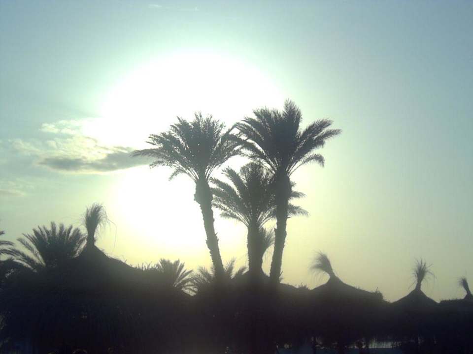 Sonnenuntergang am Pool Hotel El Mouradi Djerba Menzel