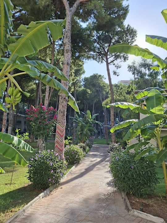 Gartenanlage TUI MAGIC LIFE Masmavi