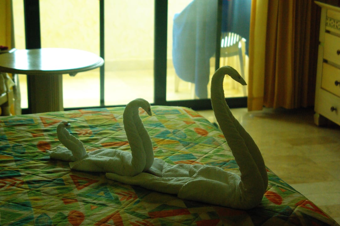 Schwanenfamilie Grand Palladium Kantenah Resort & Spa