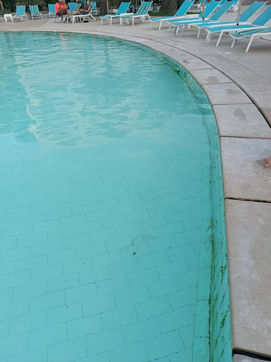 Pool Hotel Rosa Beach