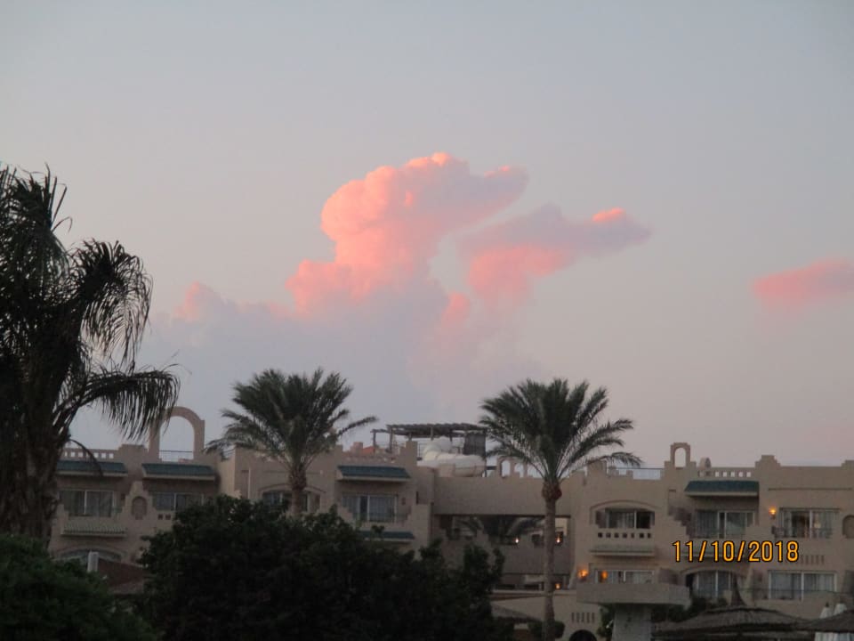 Ausblick Coral Sea Waterworld