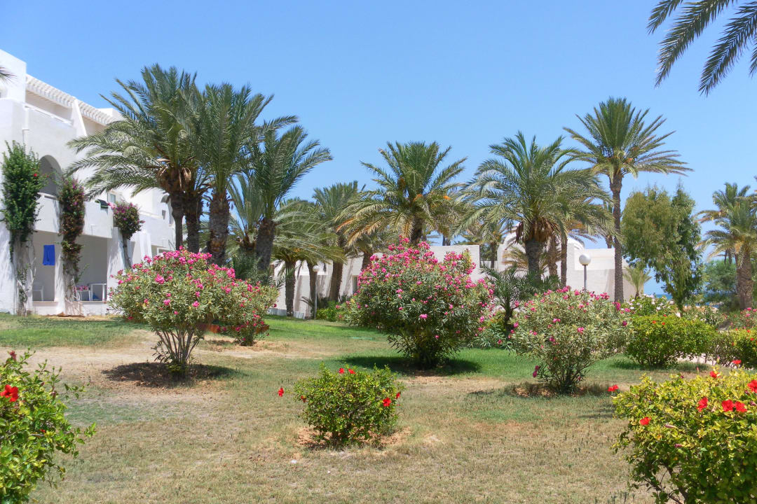 Top Hotel El Mouradi Djerba Menzel