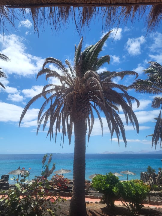 Ausblick SBH Hotel Royal Monica