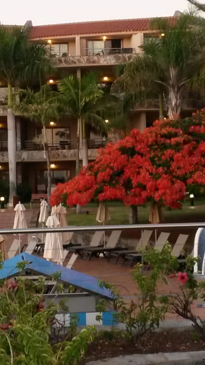 Sonstiges H10 Playa Meloneras Horizons Collection