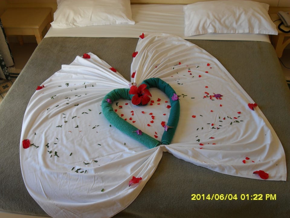 Deko Djerba Castille