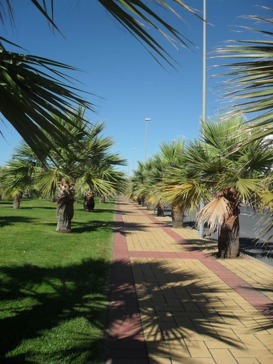 Die wunderschöne Strandpromenade Playacanela Hotel