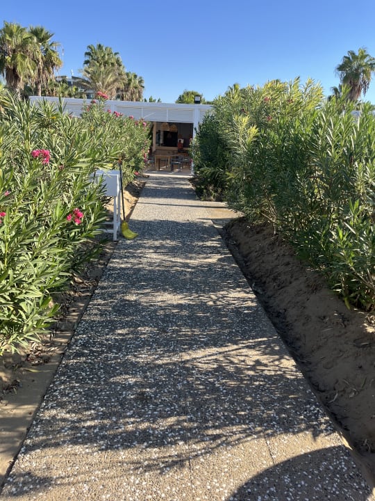 Gartenanlage TUI BLUE Xanthe