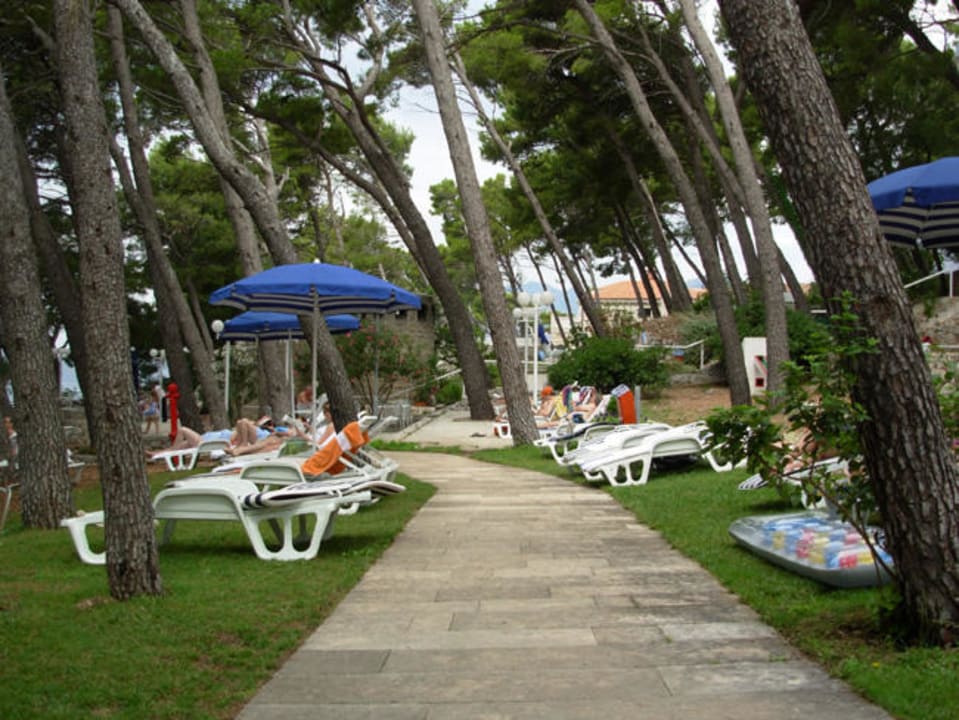 Hotelgarten Liegen Bluesun Hotel Berulia