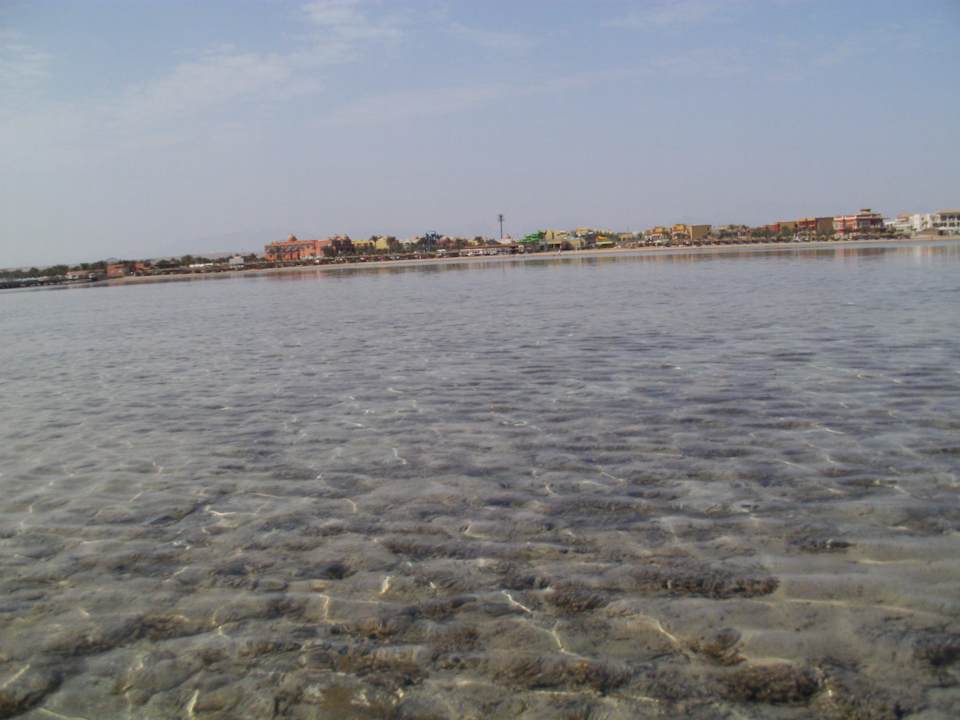 Blick vom Meer zum Strand Titanic Beach Spa & Aqua Park