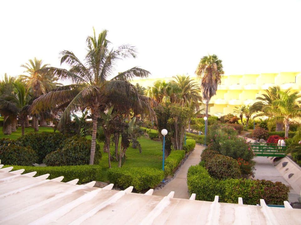 Garten SBH Fuerteventura Playa