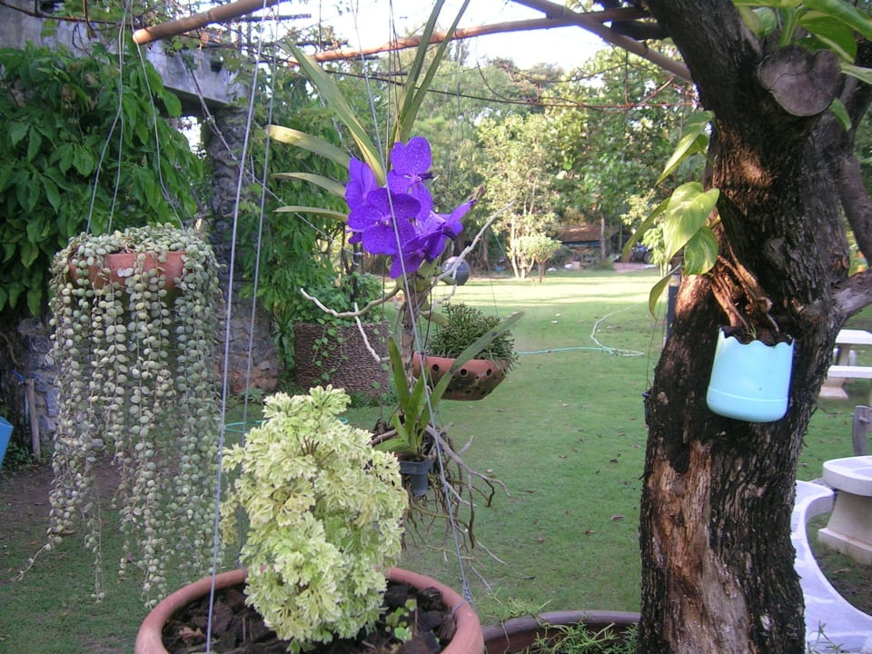 Vor der Rezeption Chayada Garden House and Resort Hotel