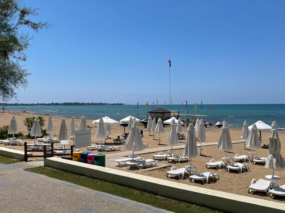 Strand Arum Barut Collection