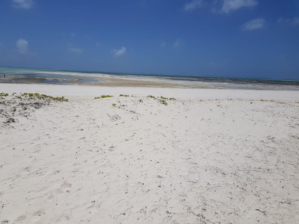 Strand Kisiwa on the Beach
