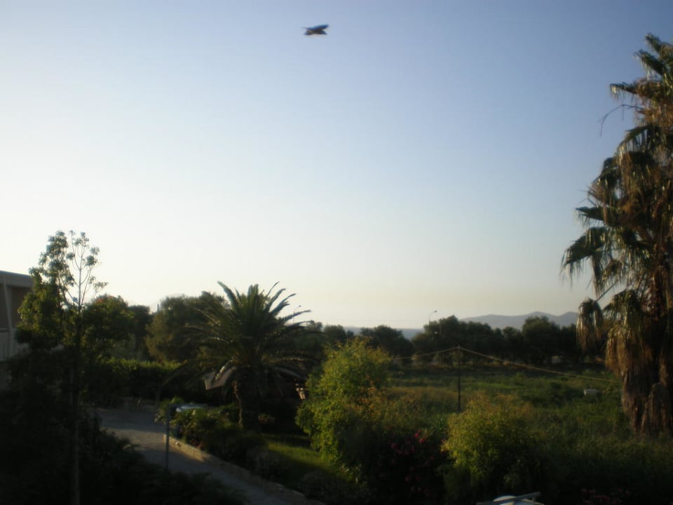 Aus dem neuem Zimmer Sandy Beach Hotel & Family Suites