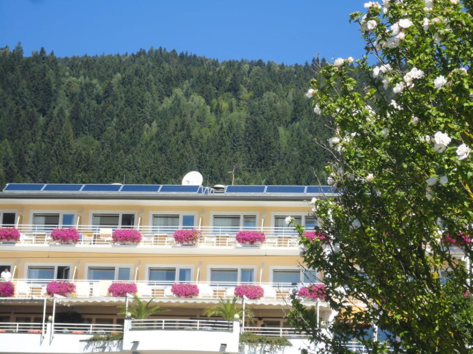 "Blumenschmuck am Haus" Seehotel Hoffmann (Feldkirchen